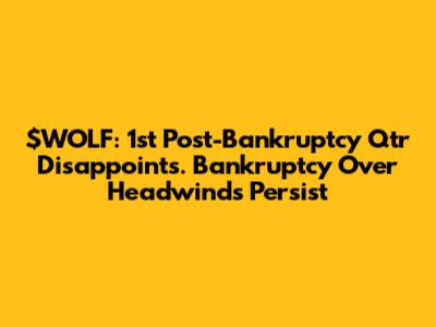 $WOLF: 1st Post-Bankruptcy Qtr Disappoints. Bankruptcy Over Headwinds Persist