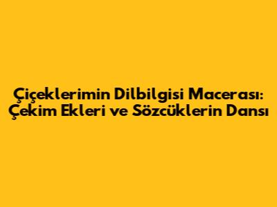 Çiçeklerim'in Dilbilgisi Macerası: Çekim Ekleri ve Sözcüklerin Dansı
