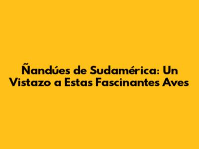 Ñandúes de Sudamérica: Un Vistazo a Estas Fascinantes Aves