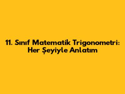 11. Sınıf Matematik Trigonometri: Her Şeyiyle Anlatım