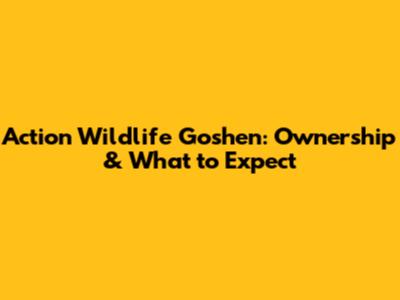 Action Wildlife Goshen: Ownership & What to Expect