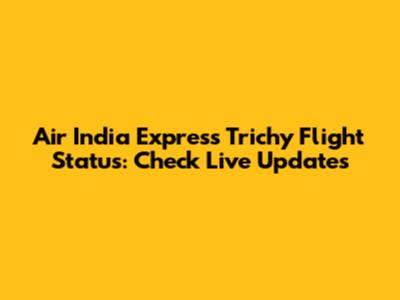 Air India Express Trichy Flight Status: Check Live Updates