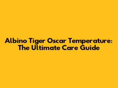Albino Tiger Oscar Temperature: The Ultimate Care Guide