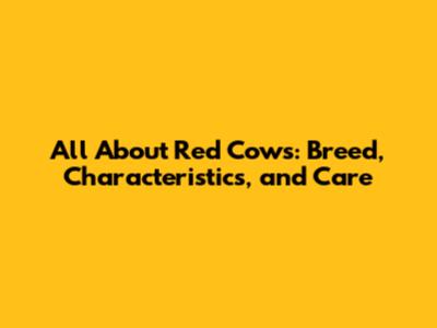 All About Red Cows: Breed, Characteristics, and Care