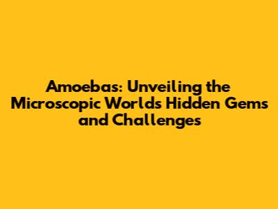 Amoebas: Unveiling the Microscopic World's Hidden Gems and Challenges