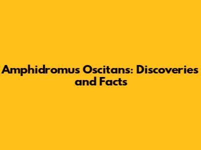 Amphidromus Oscitans: Discoveries and Facts