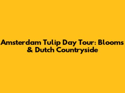 Amsterdam Tulip Day Tour: Blooms & Dutch Countryside