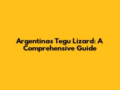 Argentina's Tegu Lizard: A Comprehensive Guide