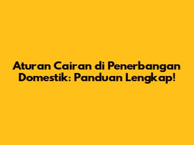 Aturan Cairan di Penerbangan Domestik: Panduan Lengkap!