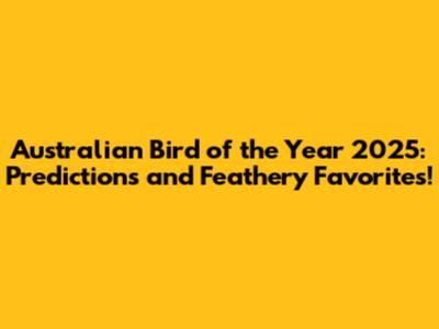 Australian Bird of the Year 2025: Predictions and Feathery Favorites!