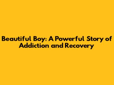 Beautiful Boy: A Powerful Story of Addiction and Recovery