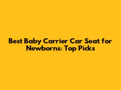 Best Baby Carrier Car Seat for Newborns: Top Picks