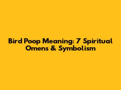 Bird Poop Meaning: 7 Spiritual Omens & Symbolism