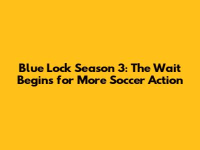 Blue Lock Season 3: The Wait Begins for More Soccer Action