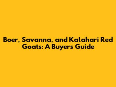 Boer, Savanna, and Kalahari Red Goats: A Buyer's Guide