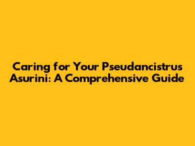 Caring for Your Pseudancistrus Asurini: A Comprehensive Guide