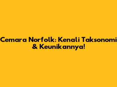 Cemara Norfolk: Kenali Taksonomi & Keunikannya!