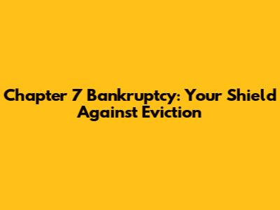 Chapter 7 Bankruptcy: Your Shield Against Eviction
