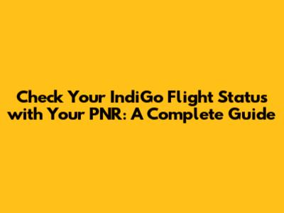 Check Your IndiGo Flight Status with Your PNR: A Complete Guide
