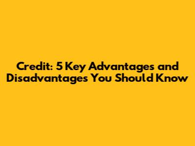 Credit: 5 Key Advantages and Disadvantages You Should Know