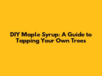 DIY Maple Syrup: A Guide to Tapping Your Own Trees