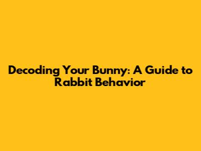 Decoding Your Bunny: A Guide to Rabbit Behavior
