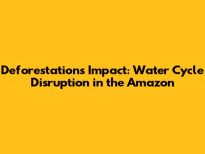 Deforestation's Impact: Water Cycle Disruption in the Amazon