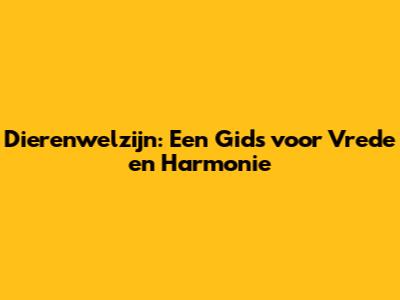 Dierenwelzijn: Een Gids voor Vrede en Harmonie