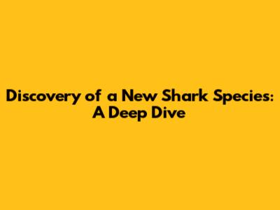 Discovery of a New Shark Species: A Deep Dive