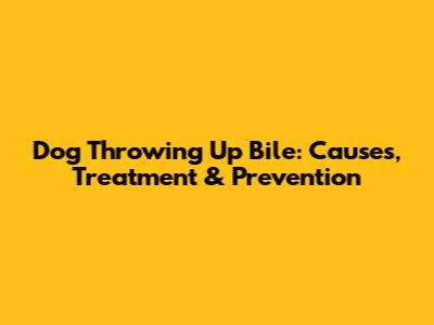 Dog Throwing Up Bile: Causes, Treatment & Prevention