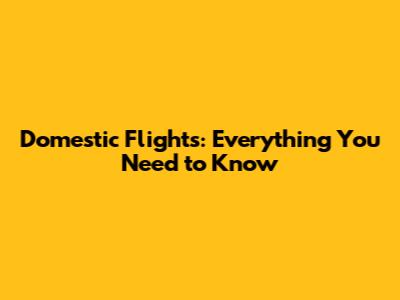 Domestic Flights: Everything You Need to Know