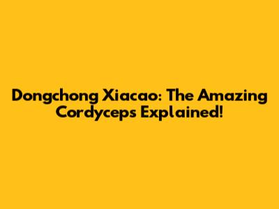 Dongchong Xiacao: The Amazing Cordyceps Explained!