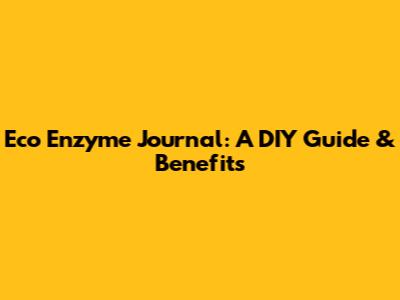 Eco Enzyme Journal: A DIY Guide & Benefits