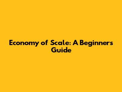 Economy of Scale: A Beginner's Guide