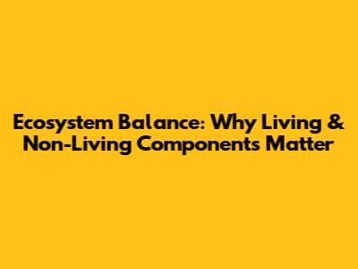Ecosystem Balance: Why Living & Non-Living Components Matter