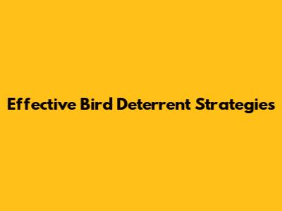 Effective Bird Deterrent Strategies