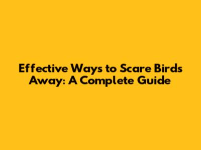 Effective Ways to Scare Birds Away: A Complete Guide