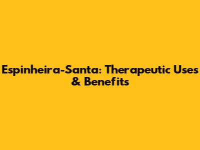 Espinheira-Santa: Therapeutic Uses & Benefits