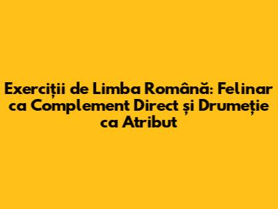 Exerciții de Limba Română: Felinar ca Complement Direct și Drumeție ca Atribut