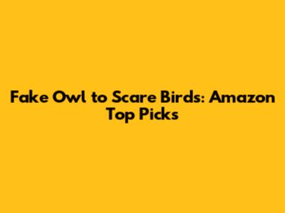 Fake Owl to Scare Birds: Amazon Top Picks