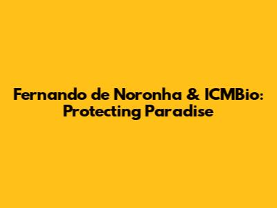 Fernando de Noronha & ICMBio: Protecting Paradise