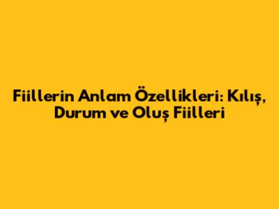 Fiillerin Anlam Özellikleri: Kılış, Durum ve Oluş Fiilleri