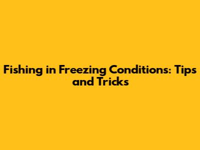 Fishing in Freezing Conditions: Tips and Tricks