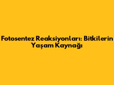 Fotosentez Reaksiyonları: Bitkilerin Yaşam Kaynağı
