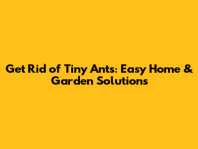 Get Rid of Tiny Ants: Easy Home & Garden Solutions