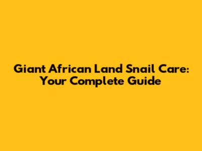 Giant African Land Snail Care: Your Complete Guide