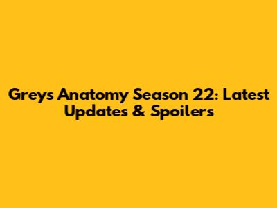 Grey's Anatomy Season 22: Latest Updates & Spoilers