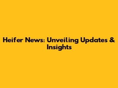 Heifer News: Unveiling Updates & Insights