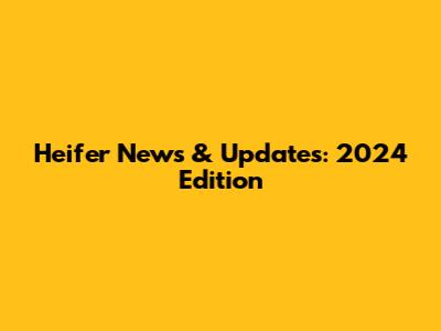 Heifer News & Updates: 2024 Edition
