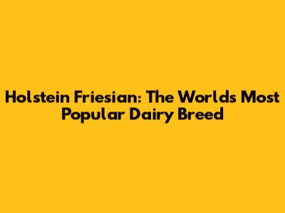 Holstein Friesian: The World's Most Popular Dairy Breed